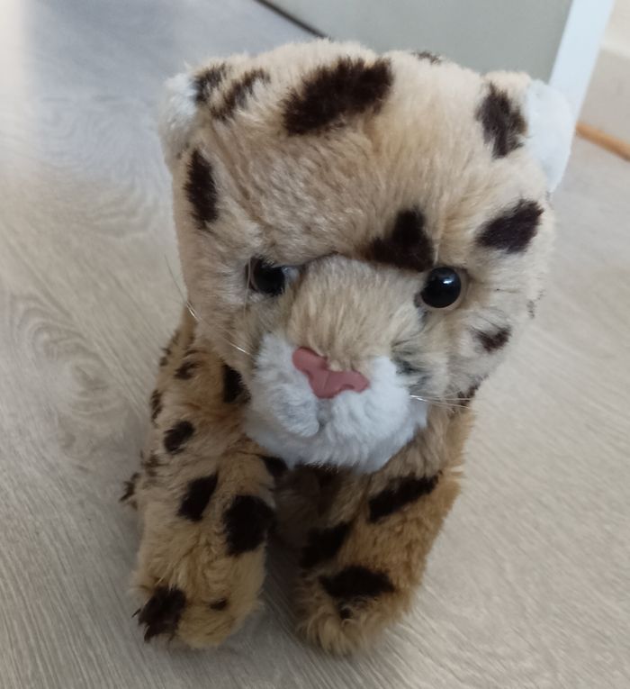 Tigre peluche - photo numéro 3