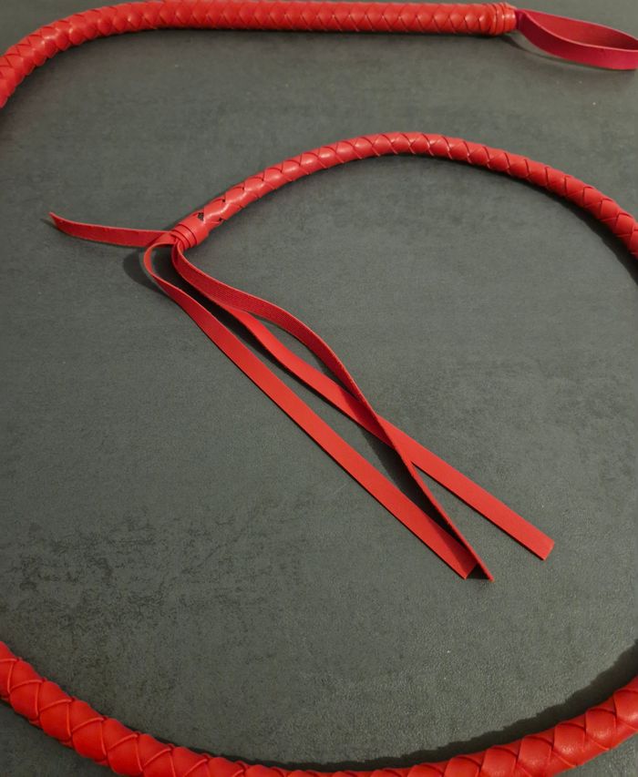 Fouet en cuir véritable (195cm) - photo numéro 2