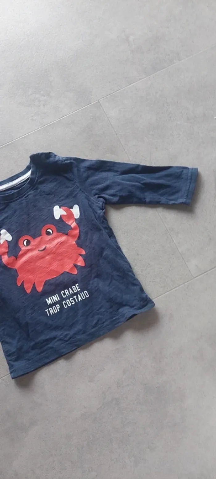 Lot de deux t shirt manches longues 18 mois - photo numéro 4