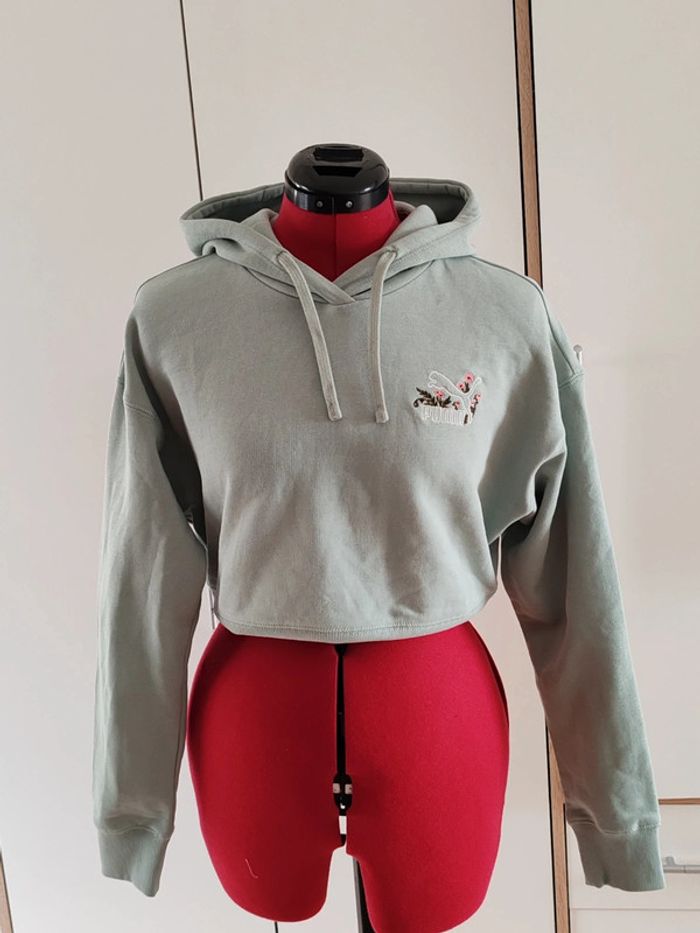 Sweat shirt capuche - photo numéro 2