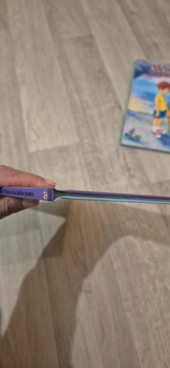 Lot de 3 livres Winnie l'ourson - photo numéro 5