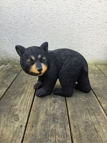 Statut ours