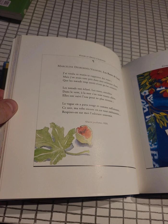 Fleurs et fruits d'écrivains - photo numéro 4