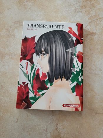 Transparente de Jun Ogino