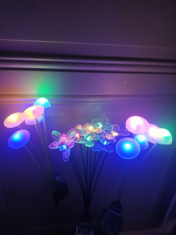 Deco jardin lumière 