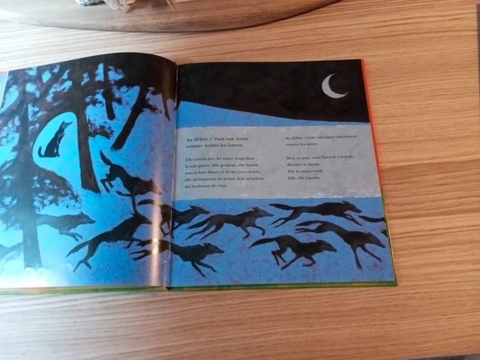 Livre A pas de louve - photo numéro 2