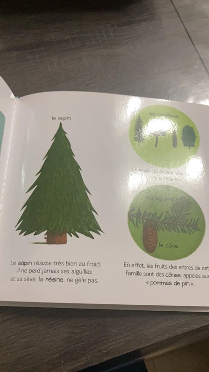 Ma baby encyclopédie la montagne - photo numéro 2