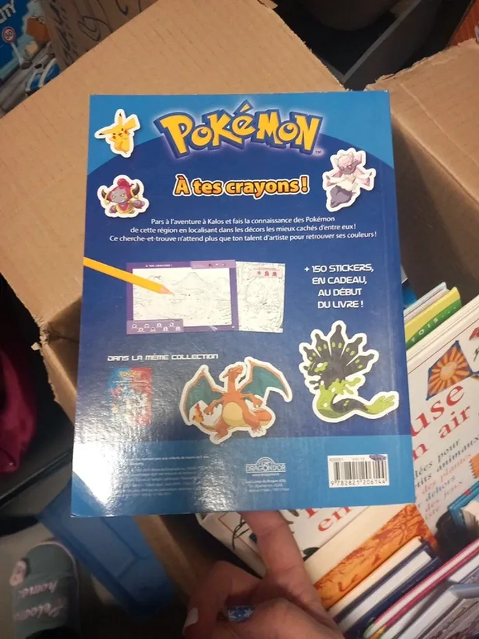 Pokemon cherche et trouvé avec stickers - photo numéro 2