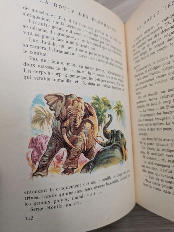 La route des éléphants rouge et or - photo numéro 7