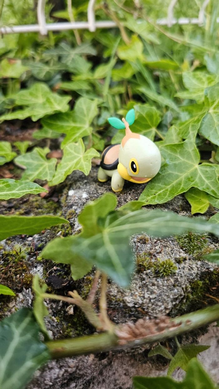 Super figurine Pokemon Nintendo tortipouss - photo numéro 2