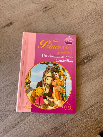 Livre Disney ma princesse préférée