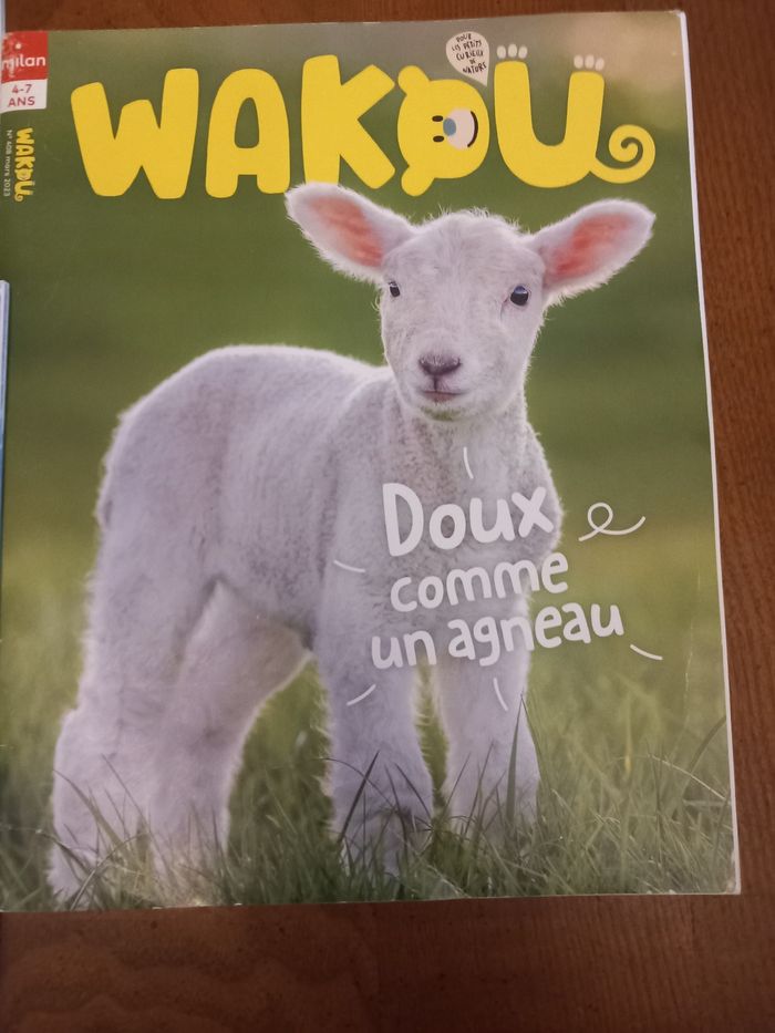 Lot 6 magazines Wakou - photo numéro 4