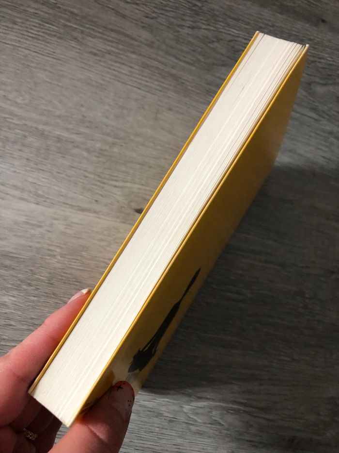 L’extraordinaire voyage du fakir - photo numéro 5