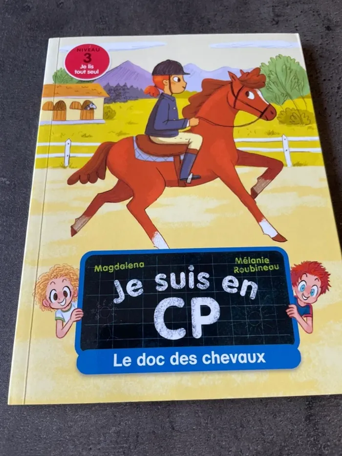 Lot 2 livres Je suis en CP Niveau 3 je lis tout seul - photo numéro 5