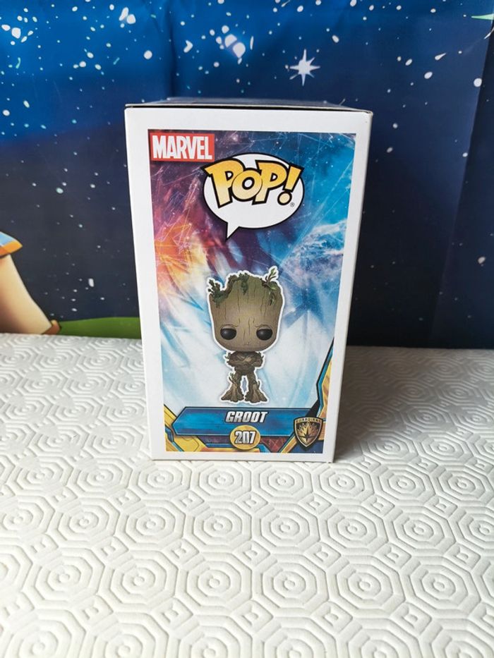 Pop groot - photo numéro 2