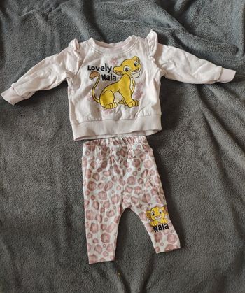 Ensemble roi lion nala