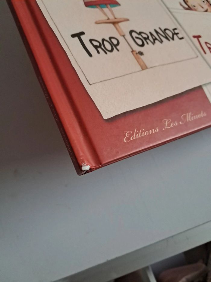 Lot 2 livres Mélanie Fuentes - photo numéro 3