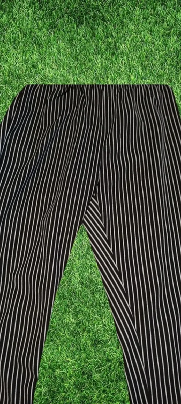 Pantalon - photo numéro 2
