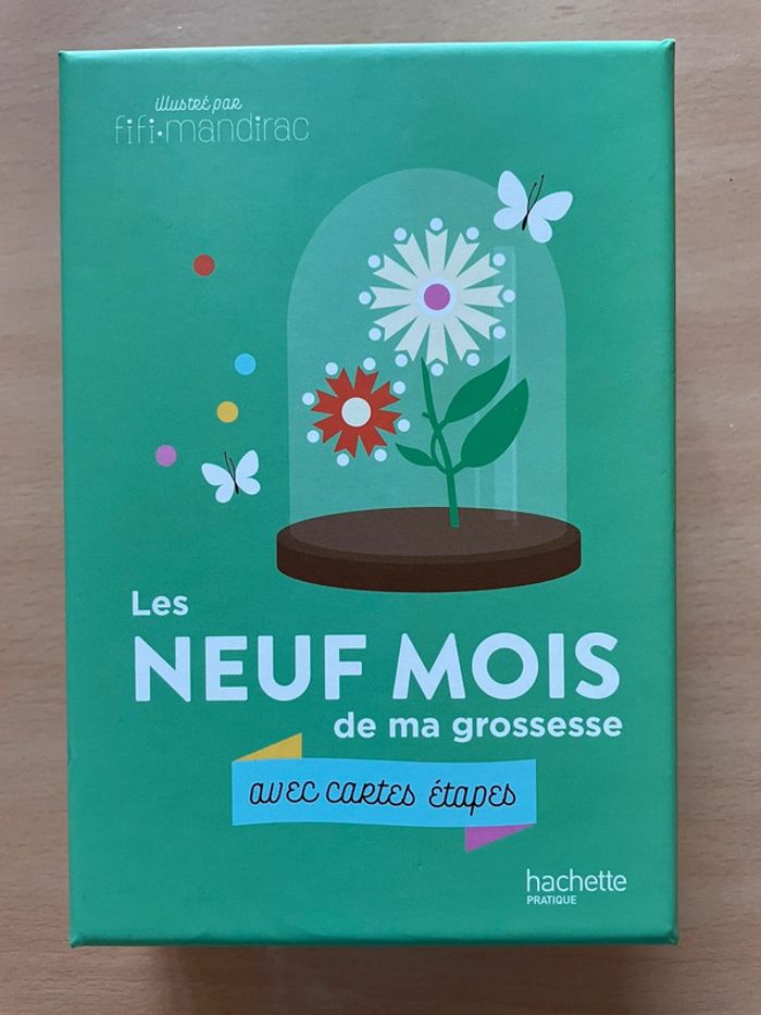 Cartes étapes « les 9 mois de ma grossesse »
