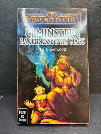 Livre roman fantasy rp donjon les royaumes oubliés , elminster la jeunesse d’un mage