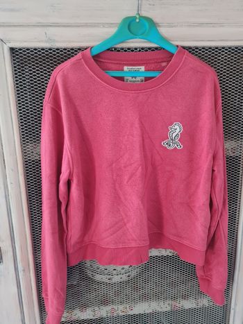 Sweat corail