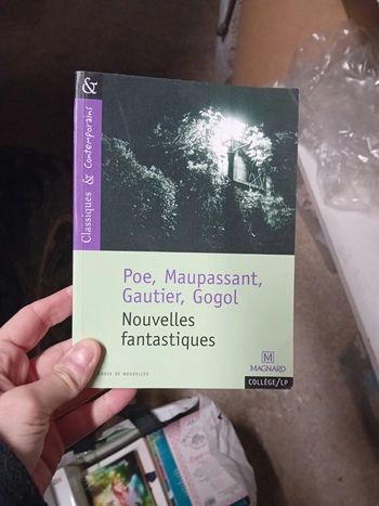 Livre maupassant nouvelle fantastiques