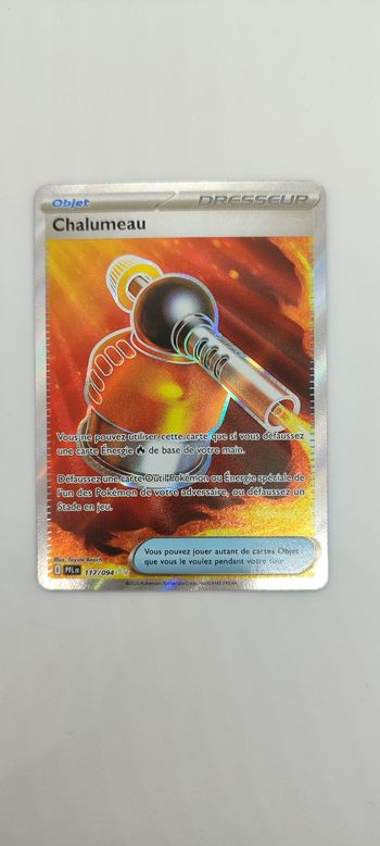 Carte pokémon chalumeau 117/094