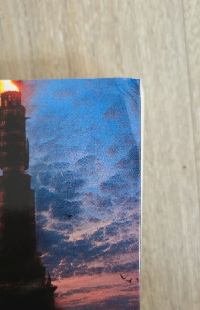 La tour sombre tome 4 : magie et cristal, stephen king - photo numéro 4