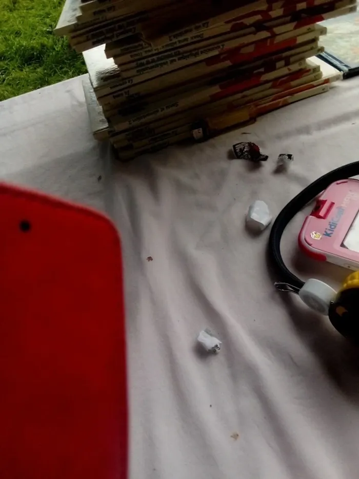 Jules le chevalier agaçant - photo numéro 3