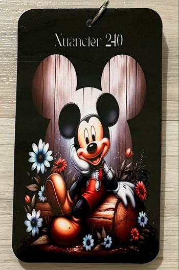 Nuancier Mickey guangna 240