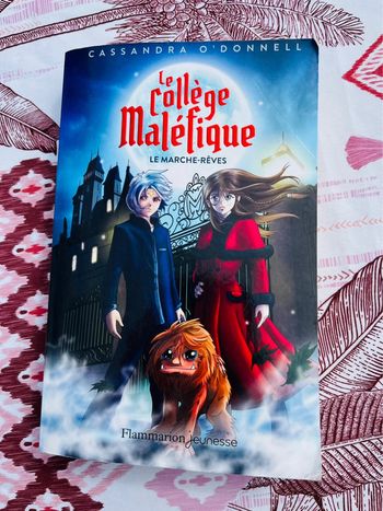 Roman le collège maléfique