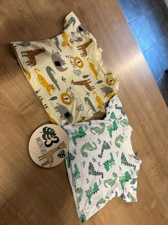 Lot de 2 TShirt
