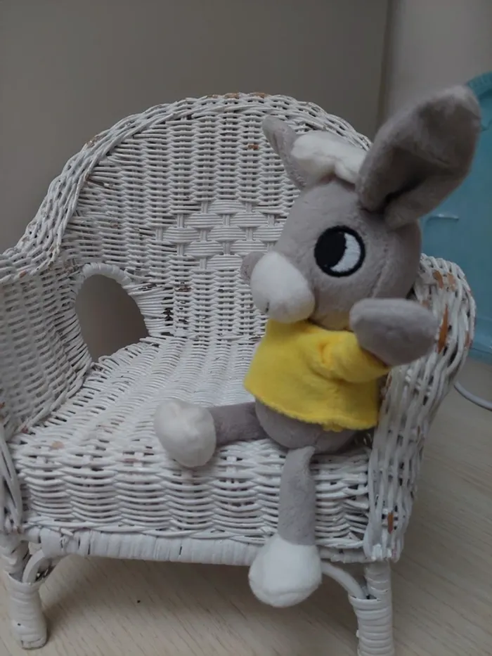 Gallimard jeunesse - petite peluche ane trotro - photo numéro 5