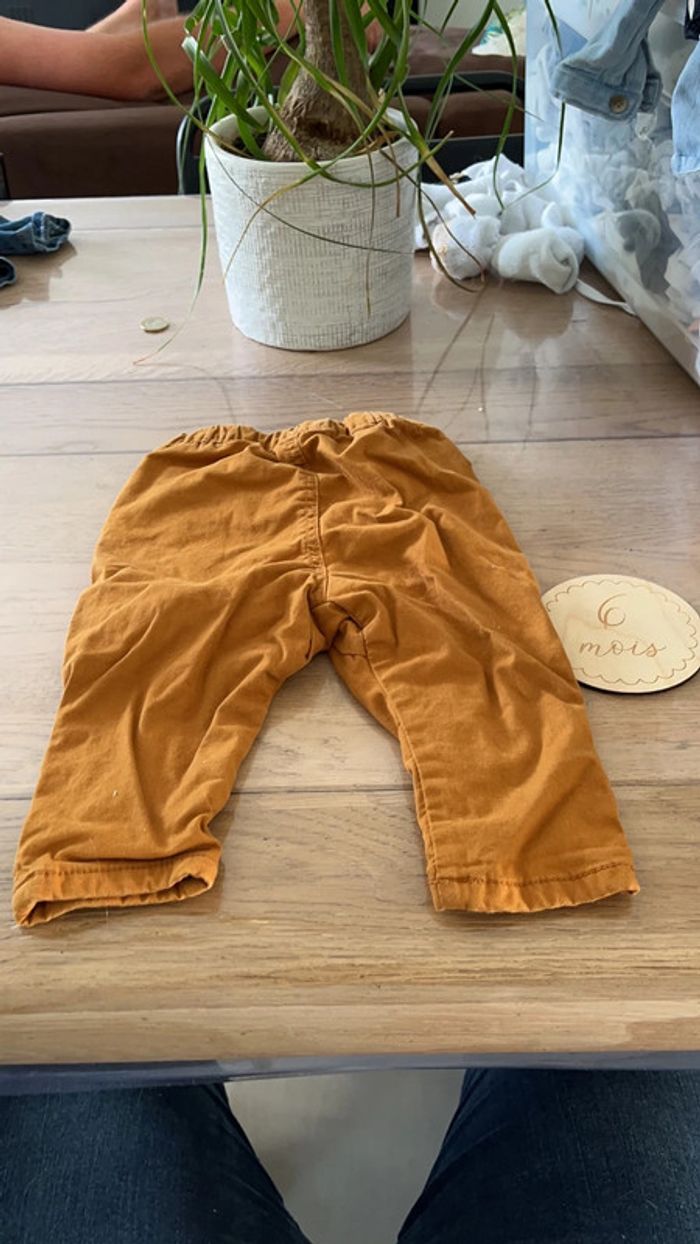 Chino tao - photo numéro 2