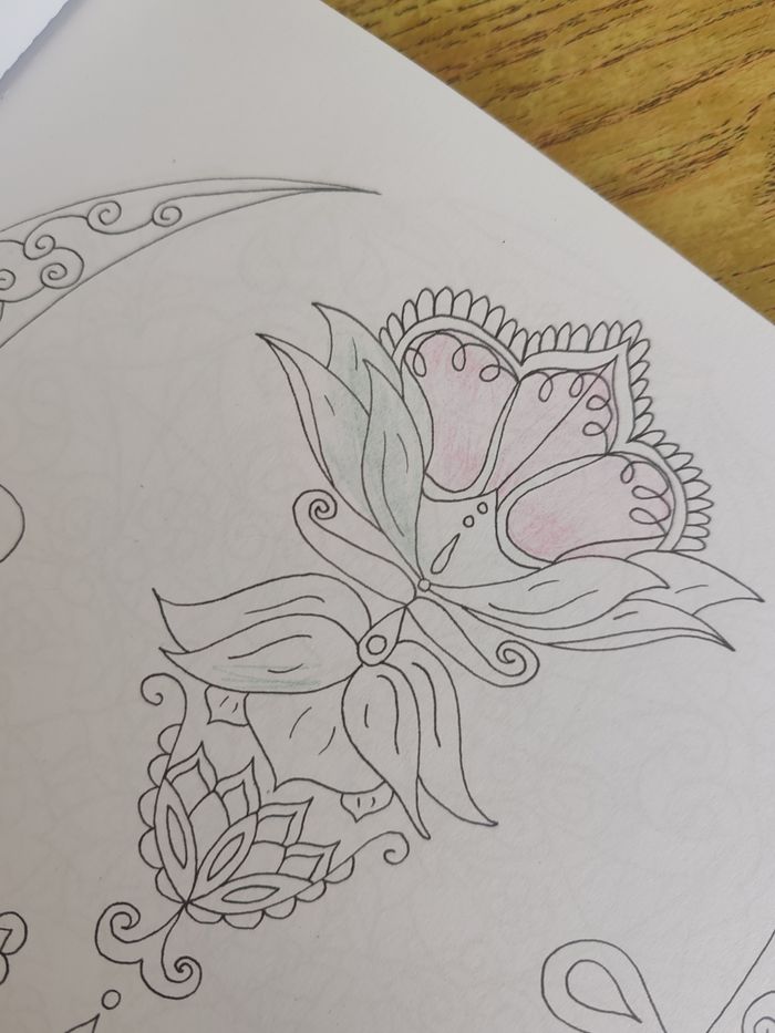 Lot de coloriages mandala - photo numéro 3