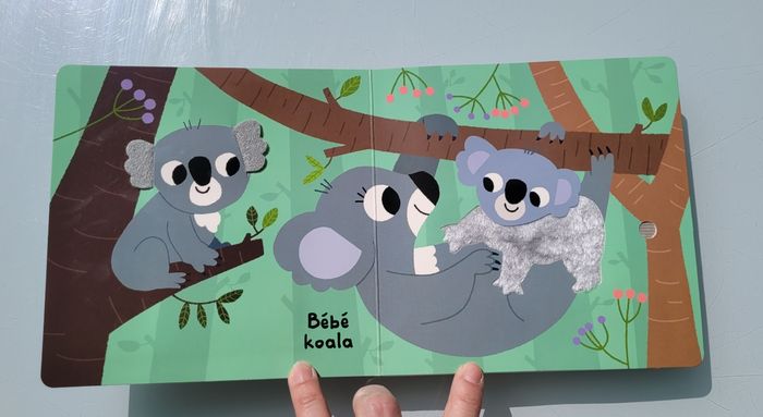 Mes petits imagiers sonores, touche et écoute 🐼 Coucou bébé ! 🐨 - photo numéro 5