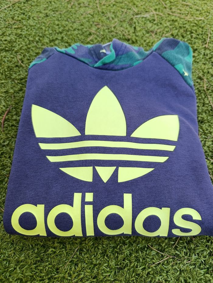 Sweat-shirt à capuche garçon 10- 12 ans - photo numéro 9