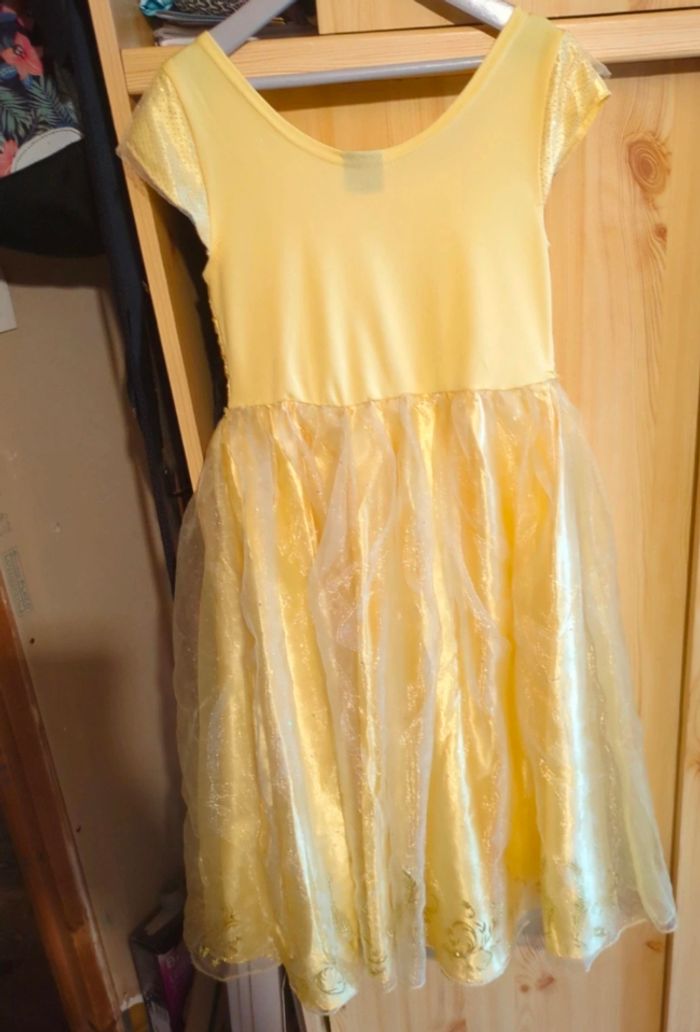 Déguisement La Belle et la Bête - photo numéro 4