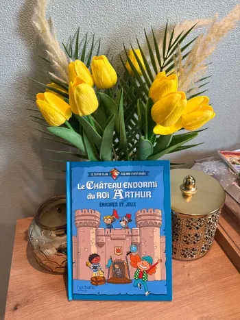 Livre le château endormi du roi Arthur