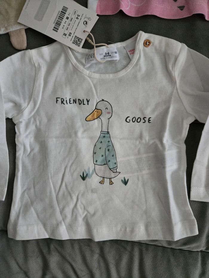 Lot de tee-shirt - photo numéro 4