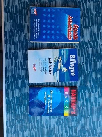 Livres éducatifs anglais