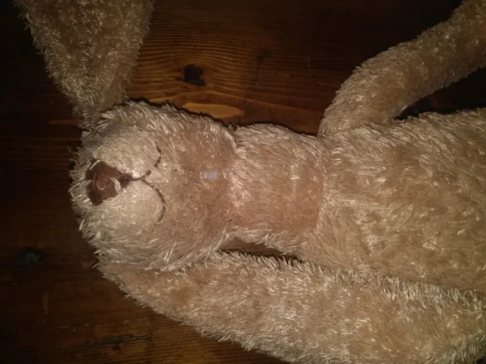 Peluche - photo numéro 5