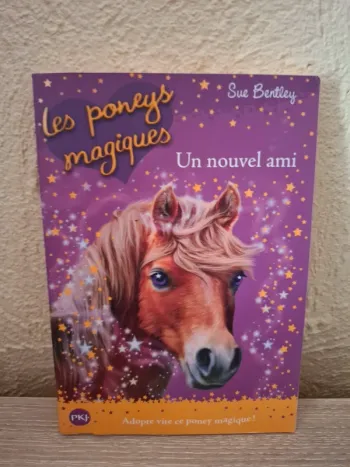 Livre les poneys magique un nouvel ami