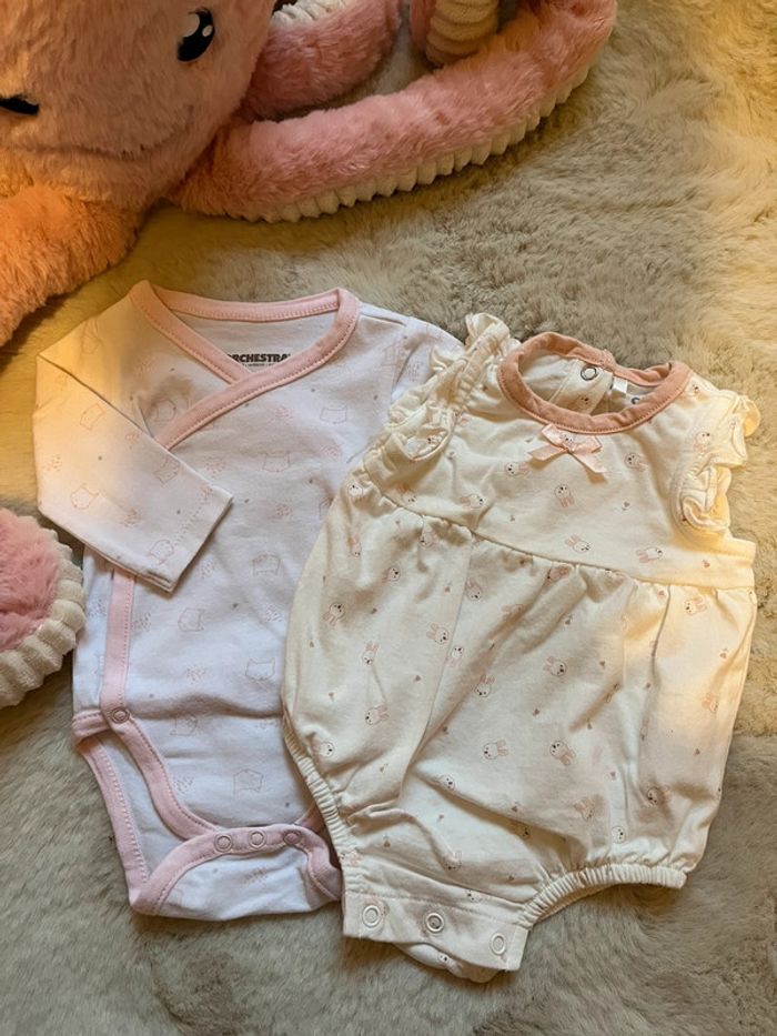 Lot de deux bodies 1 mois