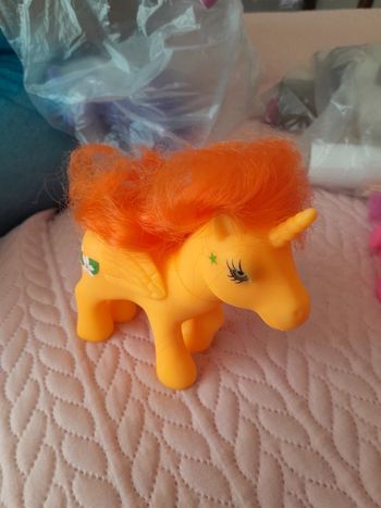 Mini poneys
