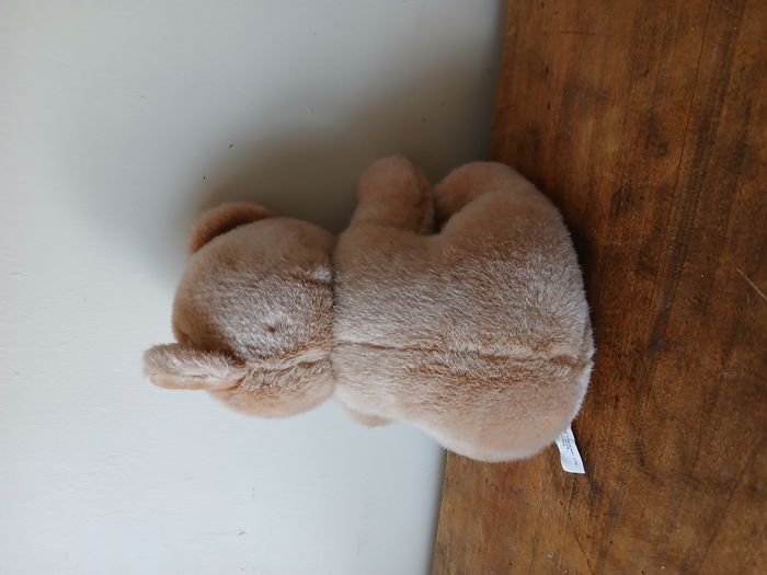 peluche ours - photo numéro 2