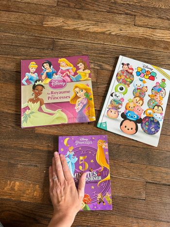 Lot trois livres Disney dont un cherche et trouve