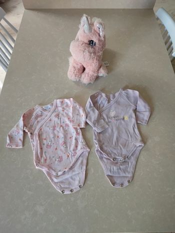 Lot 2 bodys 1 mois