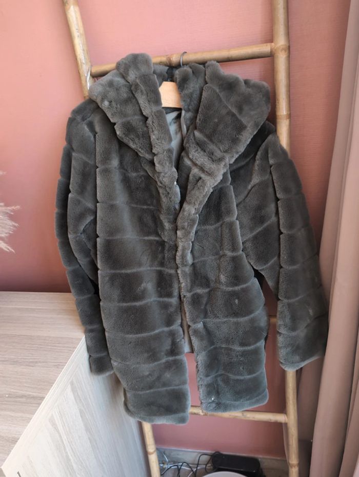 Magnifique manteau - photo numéro 3