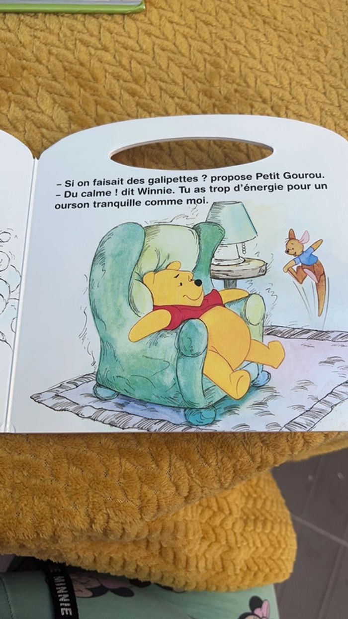 Livre Winnie - photo numéro 3